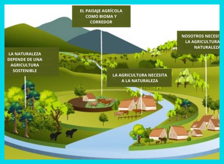 1. ¿Qué Áreas Comprende la Producción de Alimentos en Coto?