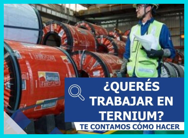 ¿Cuáles son los requisitos legales y profesionales para que un extranjero se incorpore a Ternium Argentina?