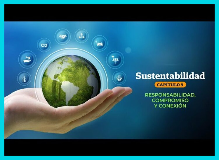 Innovación y Sustentabilidad: Nuestro Compromiso Diario