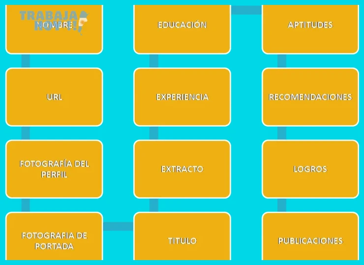 Acceso a un resumen de tu experiencia laboral actualizada