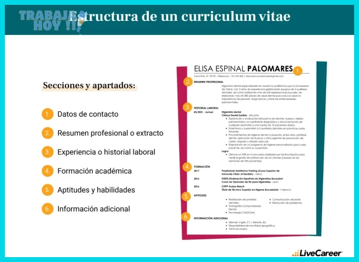 Aspectos prácticos para organizar las secciones del CV