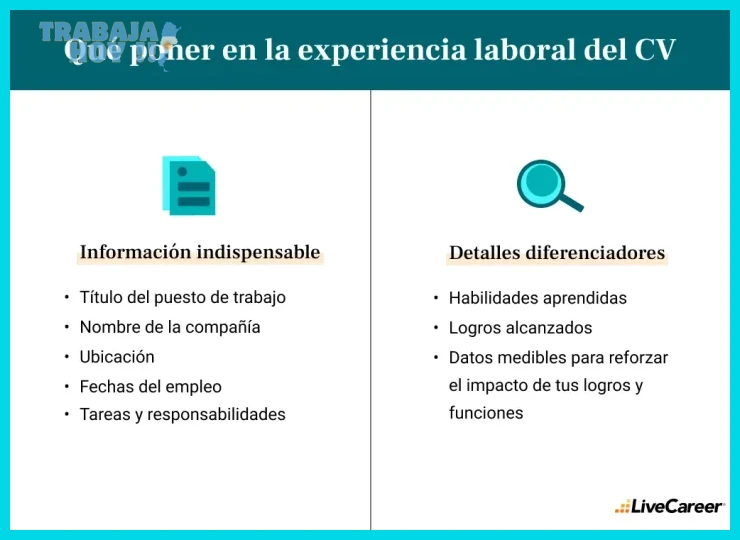 ¿Cómo ordenar la experiencia laboral en un currículum (y ejemplos)?