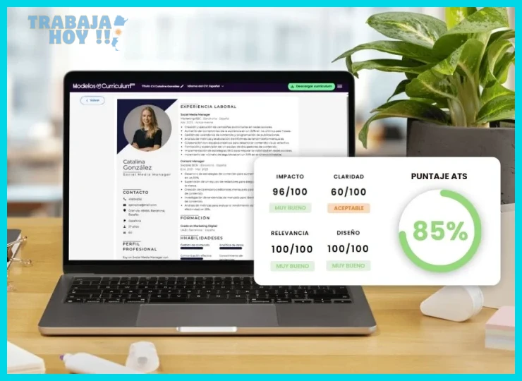 Contar con tres versiones base de currículum por sector o seniority
