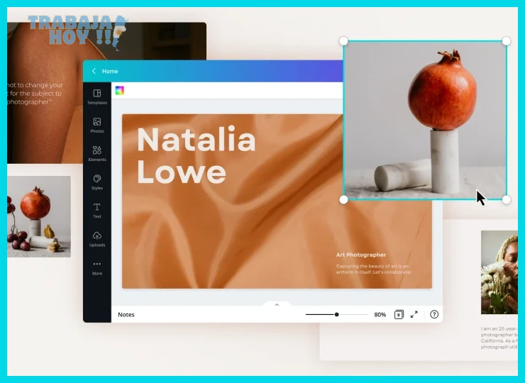 ¿Creador de portafolios online gratis - Canva?