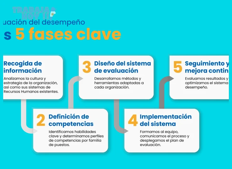 Definición clara de roles y responsabilidades de cada miembro