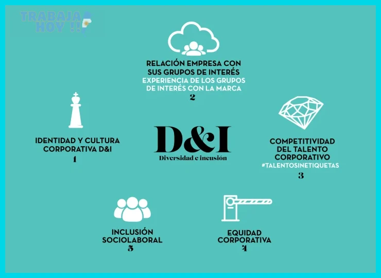 Qué es la diversidad e inclusión en el trabajo