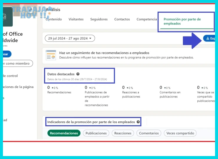 Redactar un titular que incluya palabras clave de tu sector y cargo deseado
